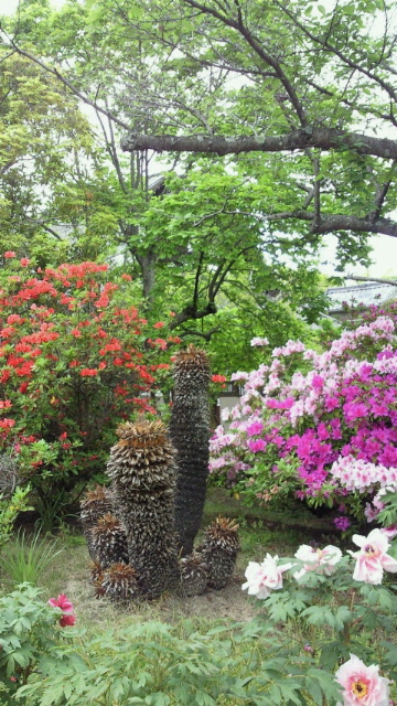 2011050800320001.jpg
